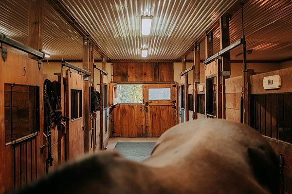 A stable block at first light with team accommodation sited alongside