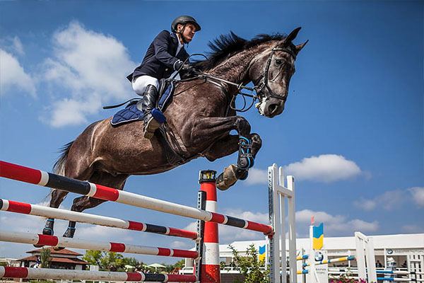 Showjumping at Hickstead during the Royal International Horse Show, with your base at the venue
